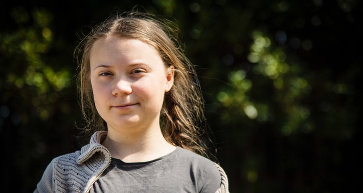 Greta Thunberg, låt "The 1975"